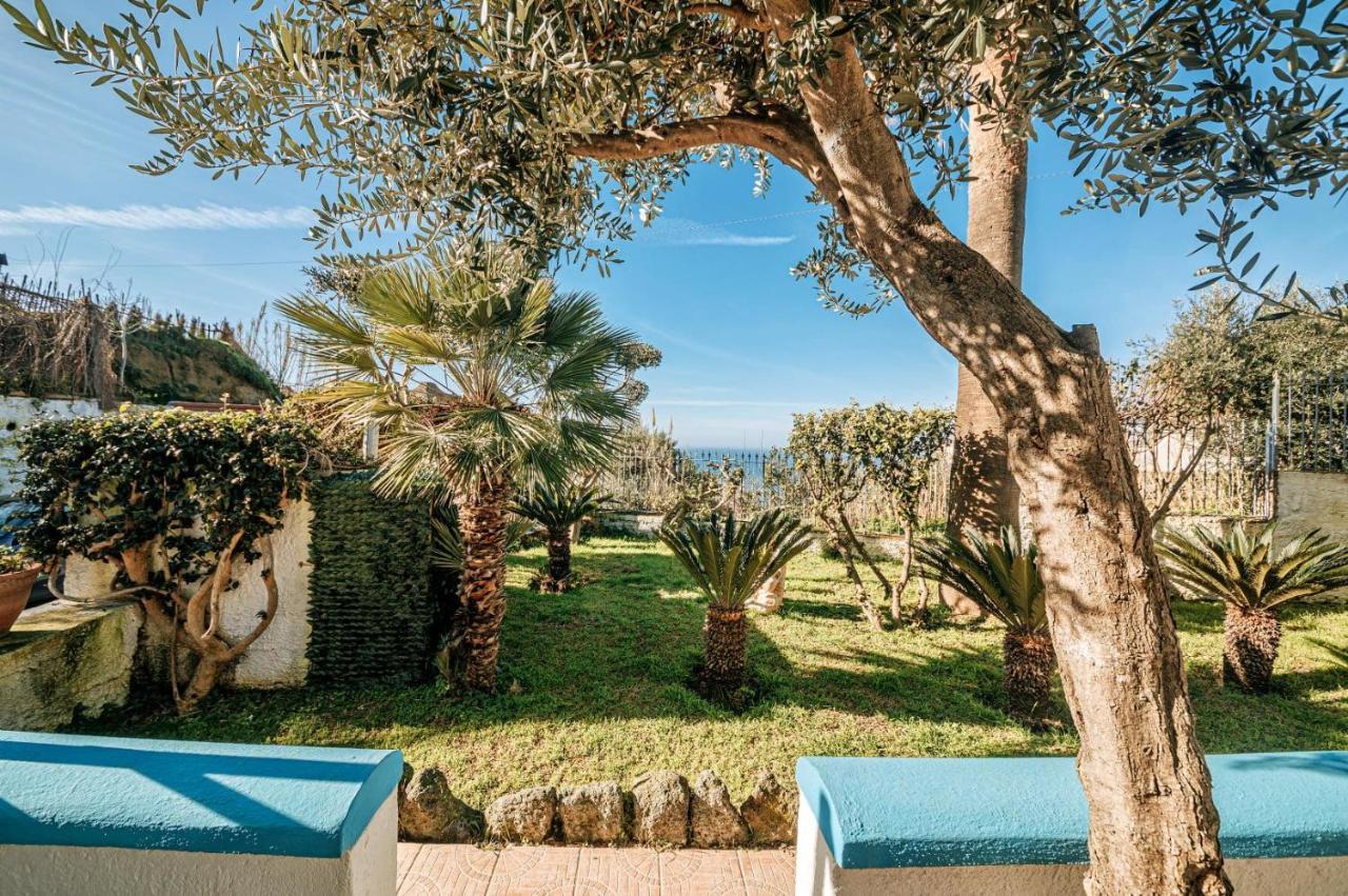 Appartamenti Ischia Casa Don Peppe Форио Экстерьер фото